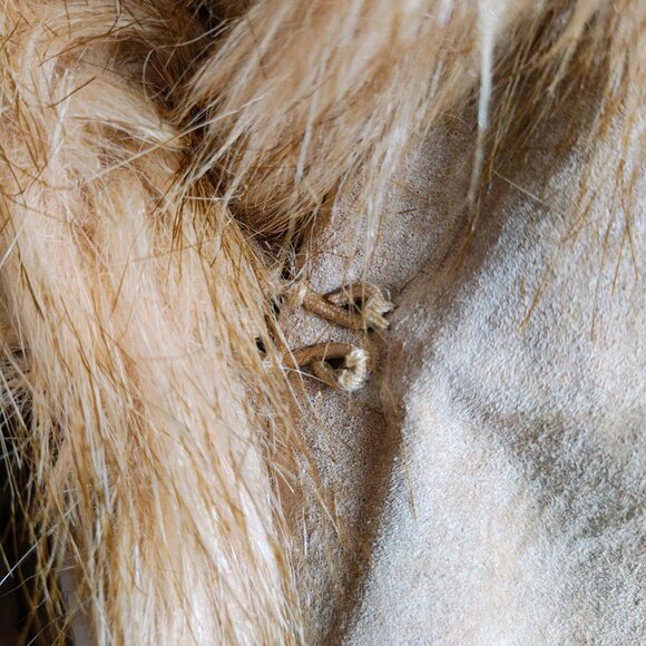 Vintage Suede Penny Lane Jacket - Picture 10 of 14